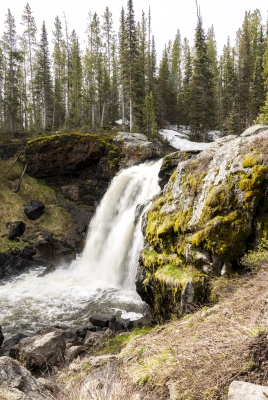 Moose Falls YNP May 2025